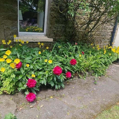 Mayfield Cottage Burtree Ford Buitenkant foto