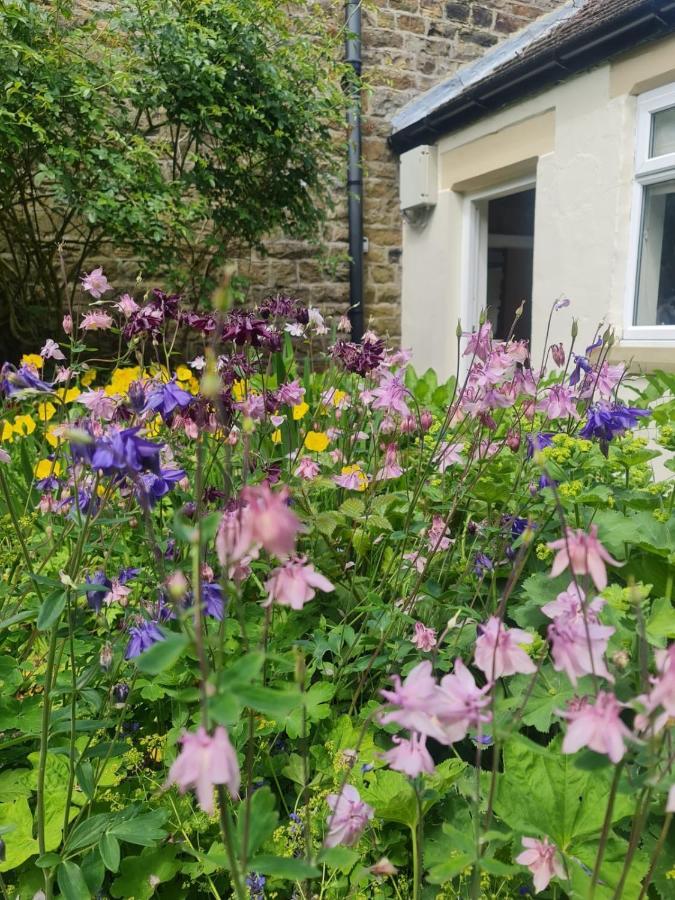 Mayfield Cottage Burtree Ford Buitenkant foto