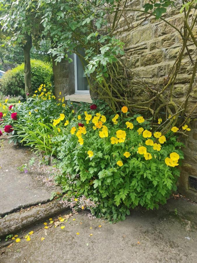 Mayfield Cottage Burtree Ford Buitenkant foto