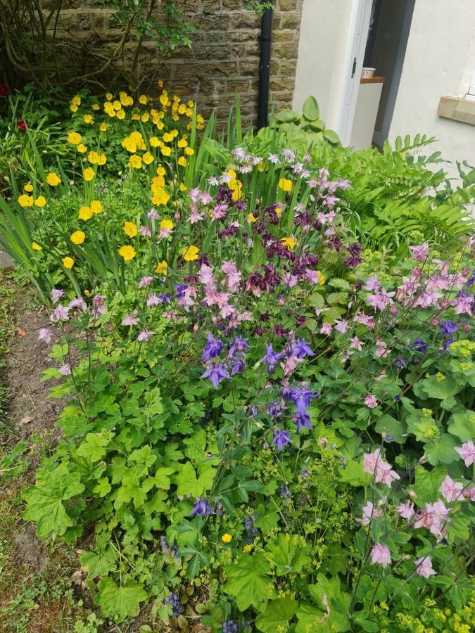 Mayfield Cottage Burtree Ford Buitenkant foto