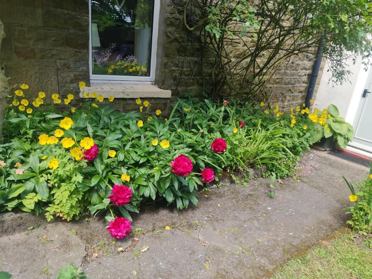 Mayfield Cottage Burtree Ford Buitenkant foto