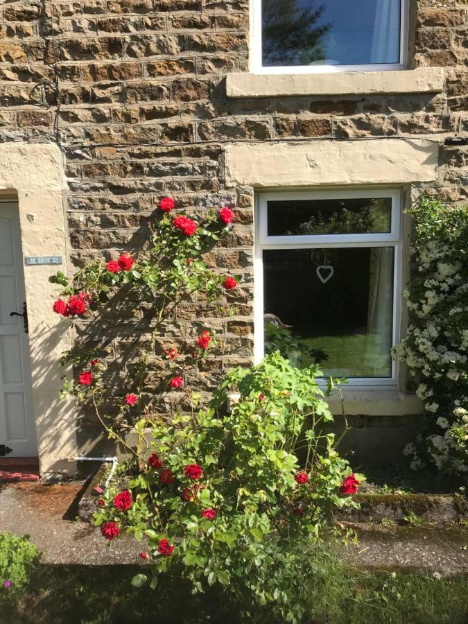 Mayfield Cottage Burtree Ford Buitenkant foto